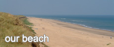Our Beach